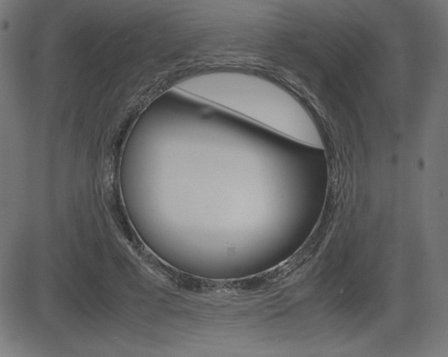 X0000083030593200702020920