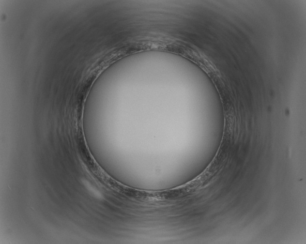 X0000083030594200702020920