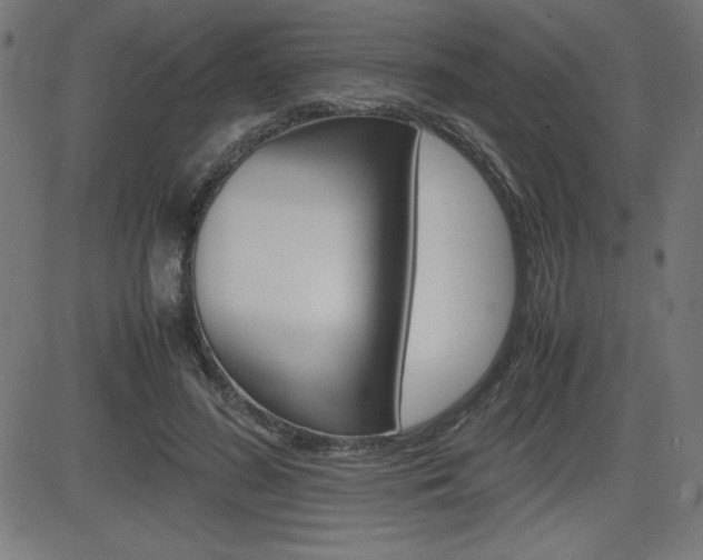 X0000083030596200702020920
