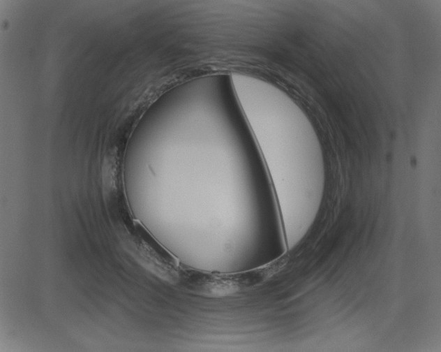 X0000083030604200702020919