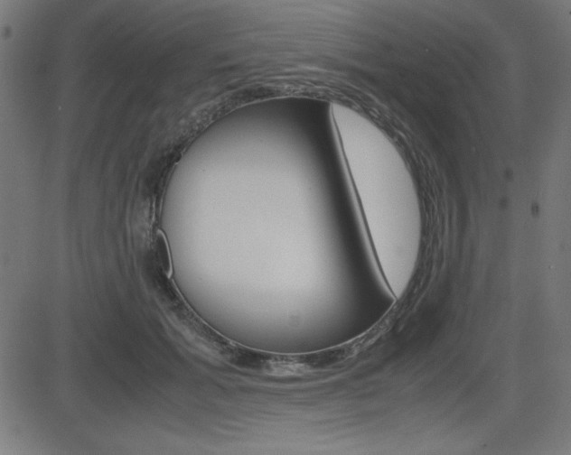 X0000083030605200702020919