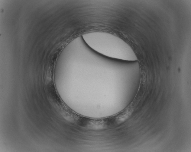X0000083030606200702020919