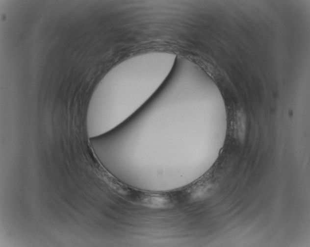 X0000083030610200702020919