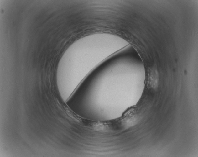 X0000083030616200702020919