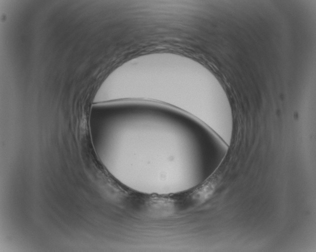 X0000083030617200702020919