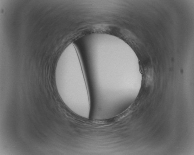 X0000083030619200702020919