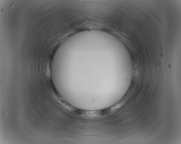 X0000083030622200702020919