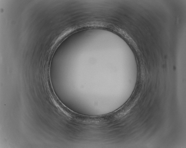 X0000083030625200702020918
