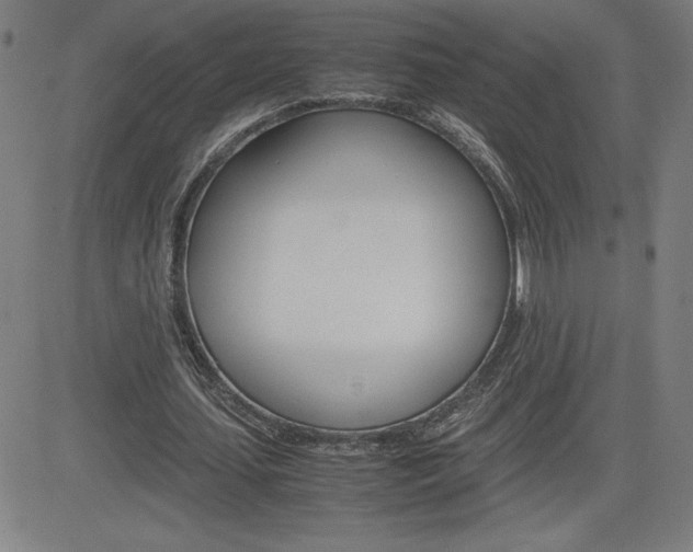 X0000083030627200702020918