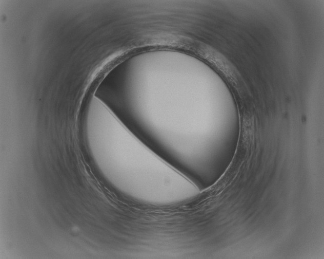 X0000083030628200702020918