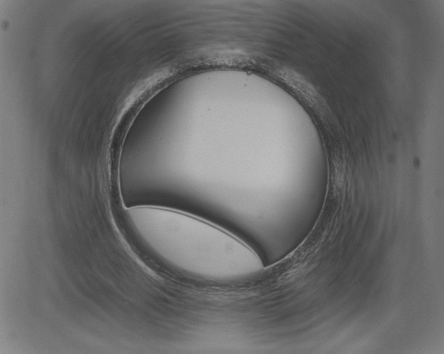 X0000083030630200702020918
