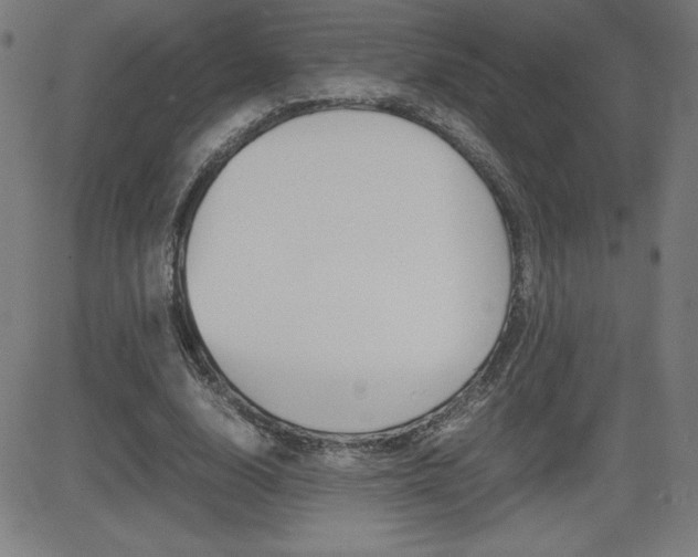 X0000083030632200702020918