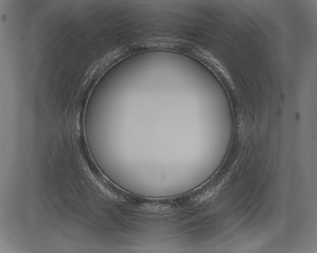X0000083030633200702020918