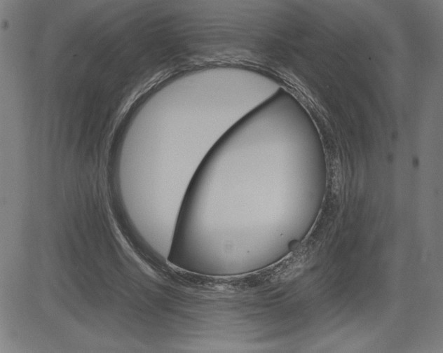 X0000083030634200702020918