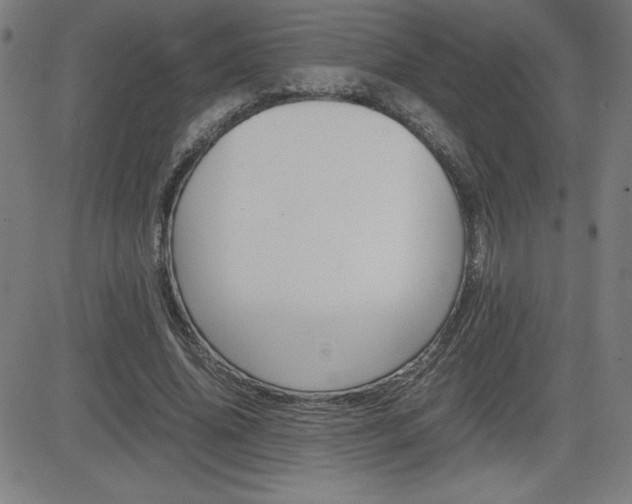 X0000083030636200702020918