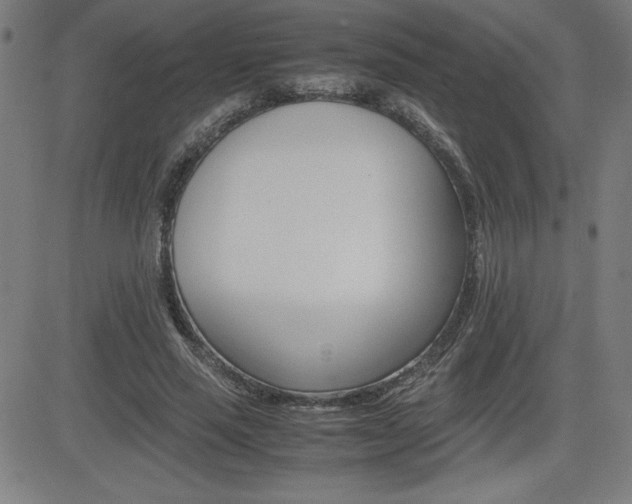 X0000083030637200702020918