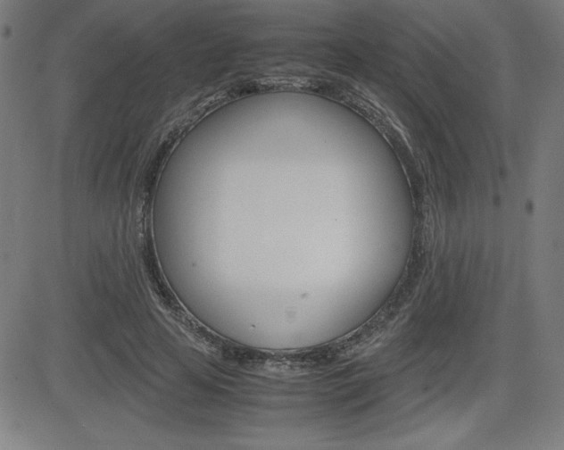 X0000083030641200702020919