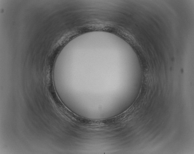 X0000083030642200702020919