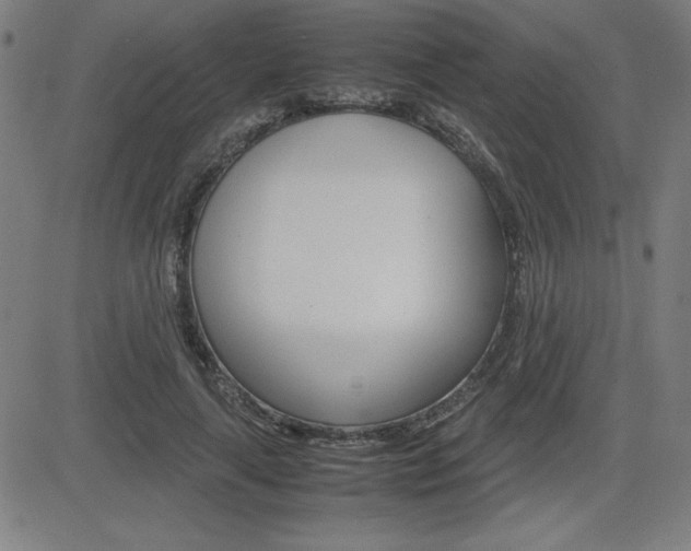 X0000083030643200702020919