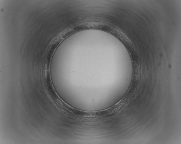 X0000083030644200702020919