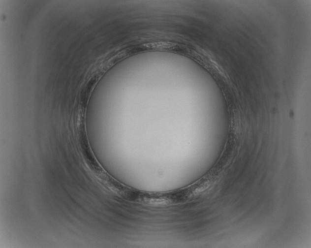 X0000083030645200702020919