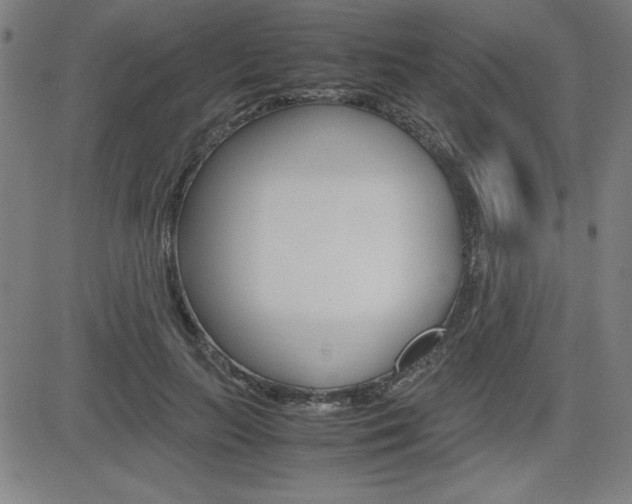 X0000083030647200702020919