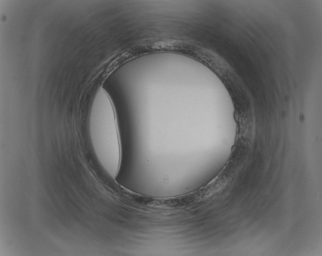 X0000083030648200702020919