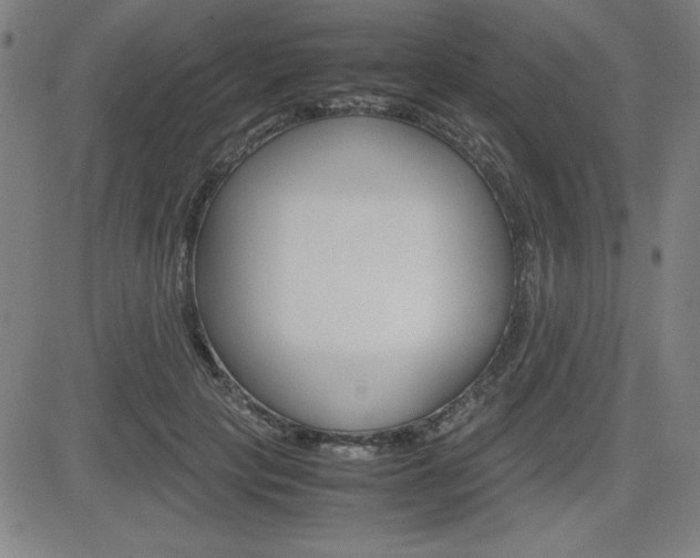 X0000083030649200702020919