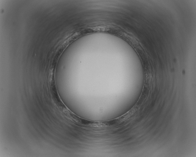 X0000083030652200702020919