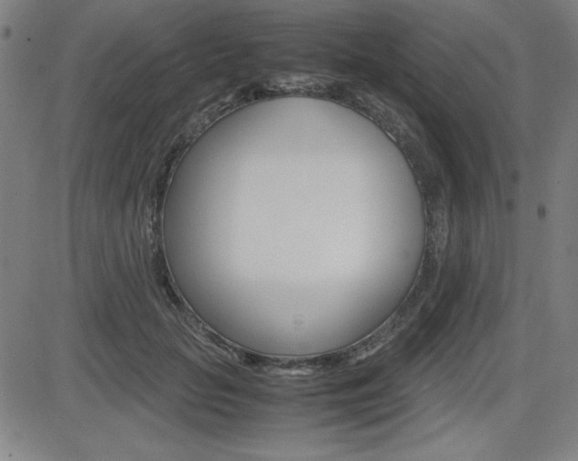 X0000083030653200702020919