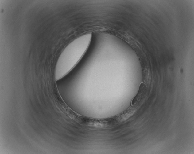 X0000083030655200702020919