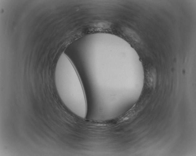 X0000083030657200702020919