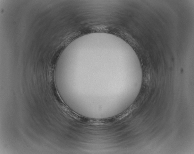 X0000083030658200702020919