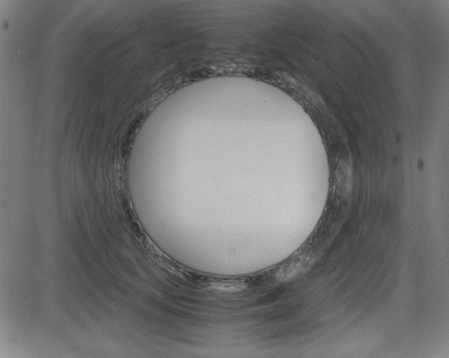 X0000083030659200702020919