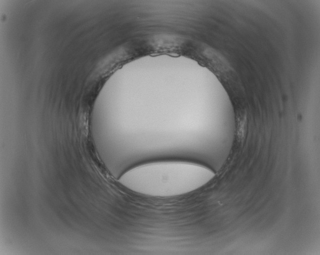 X0000083030666200702020919