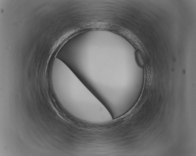 X0000083030674200702020918