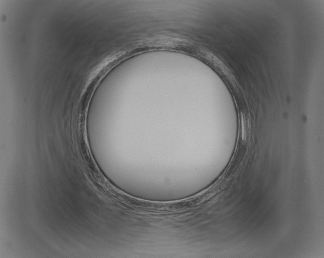X0000083030675200702020918