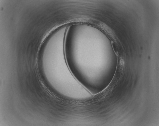 X0000083030676200702020918