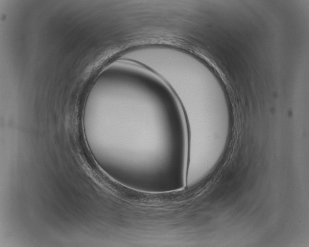 X0000083030677200702020918