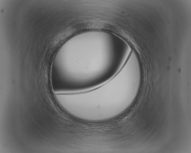 X0000083030681200702020918