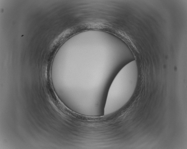 X0000083030686200702020918