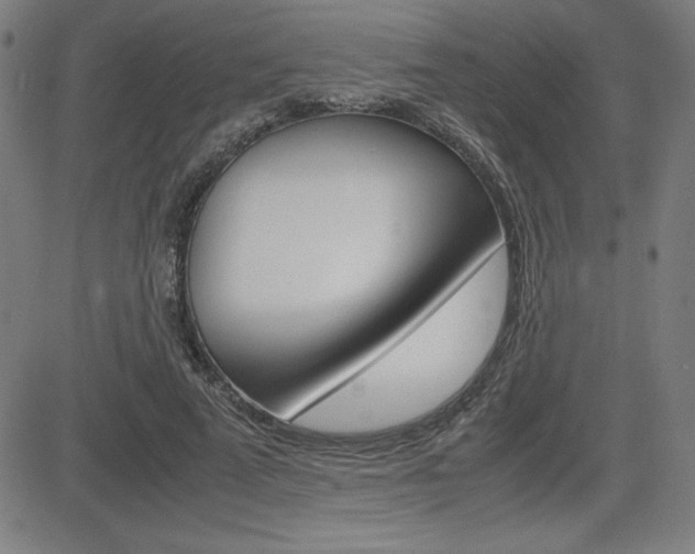 X0000083030689200702020918