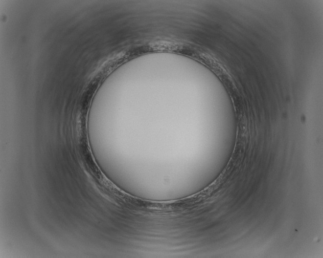 X0000083030690200702020918