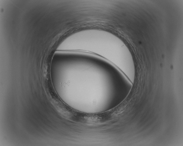 X0000083030693200702020918