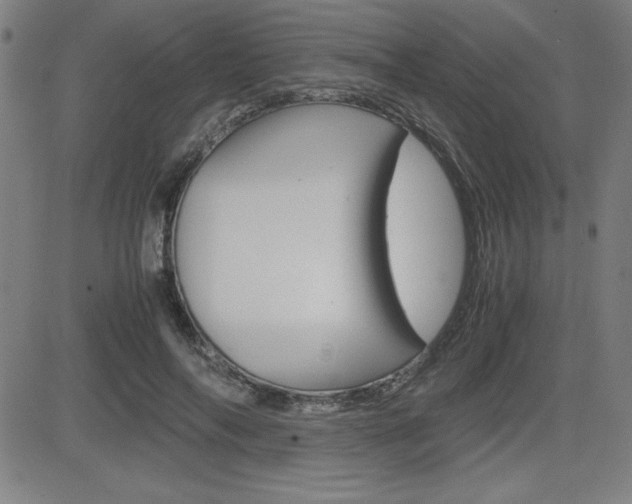X0000083030694200702020918