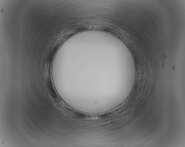X0000083030695200702020918