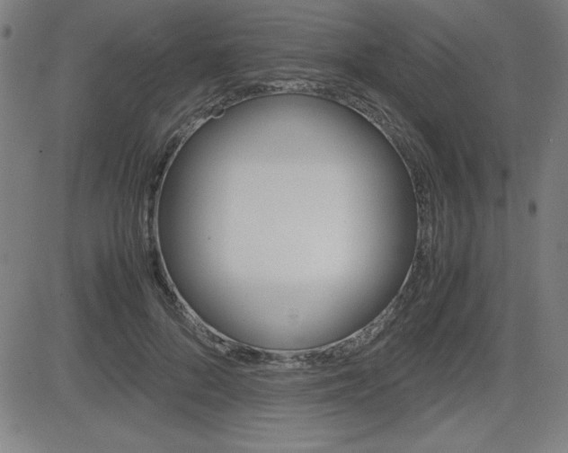 X0000083030696200702020918