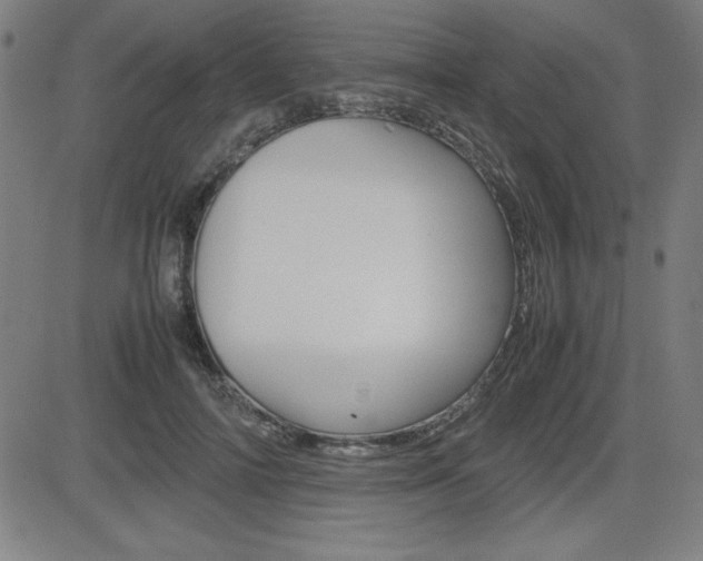 X0000083030698200702020918