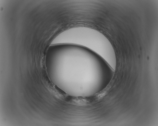 X0000083030712200702020918