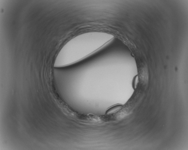 X0000083030715200702020918